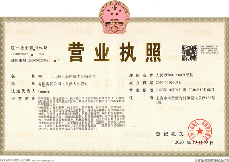 注册公司营业执照案例（二）