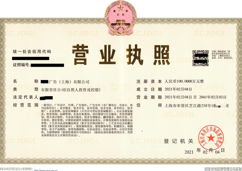 注册公司营业执照案例（四）